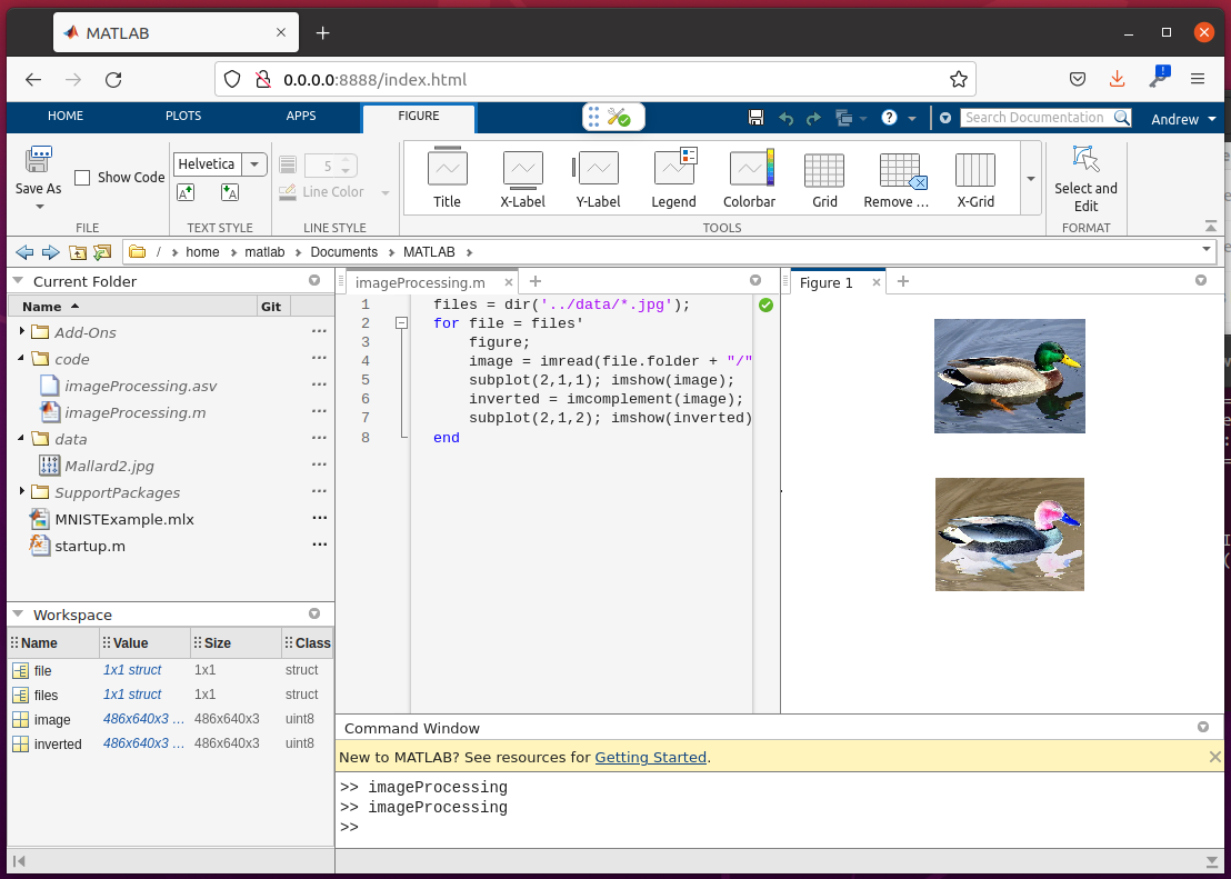 Data Processing Matlab Public – Case MRI